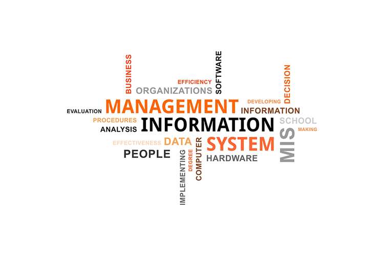 Sistem Informasi Manajemen (SIM)